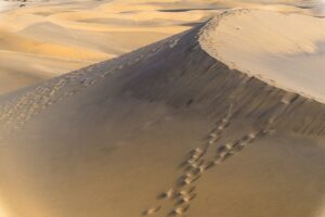 50代向けにおすすめの人気温泉旅行地はどこですか？