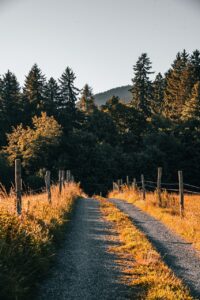 静かで癒し宿が夫婦旅行に最適な理由は？