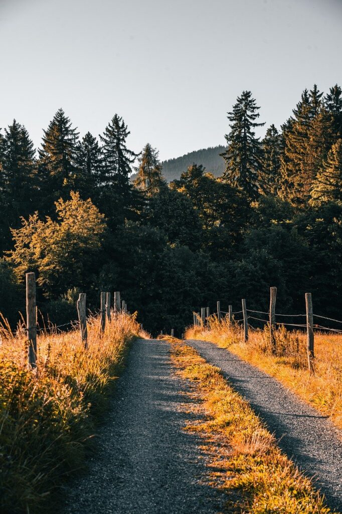 静かで癒し宿が夫婦旅行に最適な理由は？