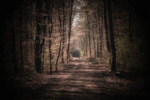 少人数限定の静かな温泉旅館で過ごす至福のひとときは？