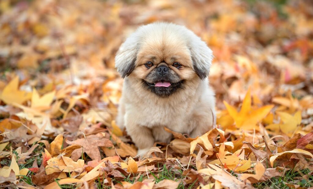 贅沢旅行にぴったりな癒しプランは夫婦向けにどんなものがある？