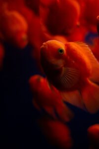 50代夫婦が年末年始に贅沢な温泉宿を比較するポイントは？